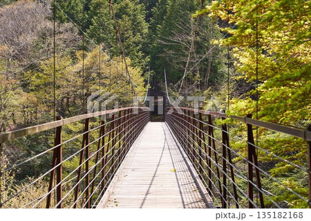 山梨県道志村 野原吊橋 山梨県道志村 野原吊橋 135182168