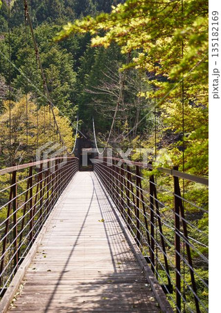 山梨県道志村　野原吊橋 135182169