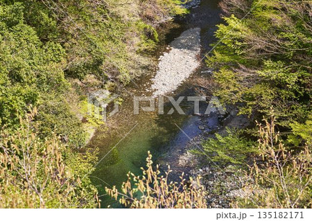 山梨県道志村　野原吊橋から見た道志川 135182171