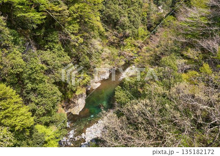 山梨県道志村 野原吊橋から見た道志川 山梨県道志村 野原吊橋から見た道志川 135182172