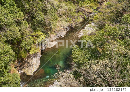 山梨県道志村 野原吊橋から見た道志川 山梨県道志村 野原吊橋から見た道志川 135182173