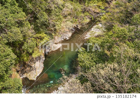 山梨県道志村 野原吊橋から見た道志川 山梨県道志村 野原吊橋から見た道志川 135182174