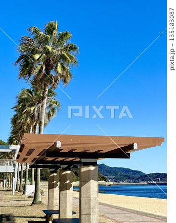 ヤシ並木とパーゴラの屋根が青空に映える宮崎海水浴場〈吉良ワイキキビーチ/愛知県西尾市〉 ヤシ並木とパーゴラの屋根が青空に映える宮崎海水浴場〈吉良ワイキキビーチ/愛知県西尾市〉 135183087