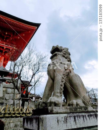 寺院の門前に鎮座する石造りの狛犬 135183099