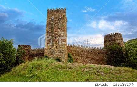 Ananuri fortress georgia historic architecture with stone walls 135183174