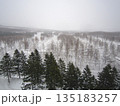 北海道の広大な雪原と冬の針葉樹林 135183257