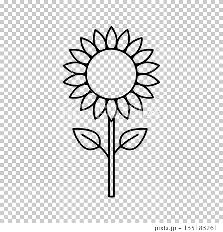 Simple sunflower line drawing icon 135183261