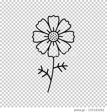 Simple cosmos line icon Simple cosmos line icon 135183262