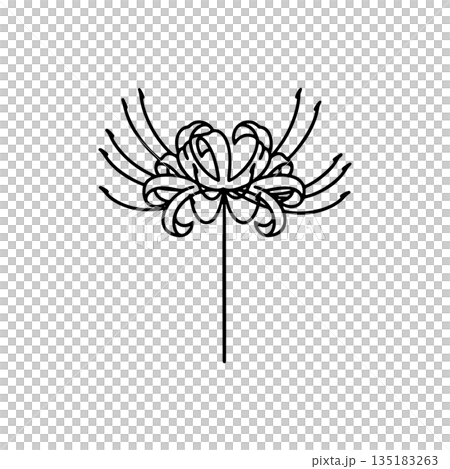 Simple line drawing icon of red spider lily Simple line drawing icon of red spider lily 135183263