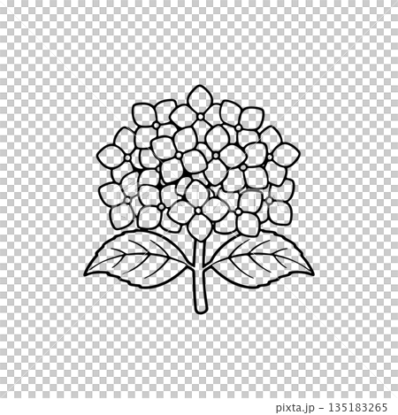 シンプルな紫陽花の線画アイコン 135183265