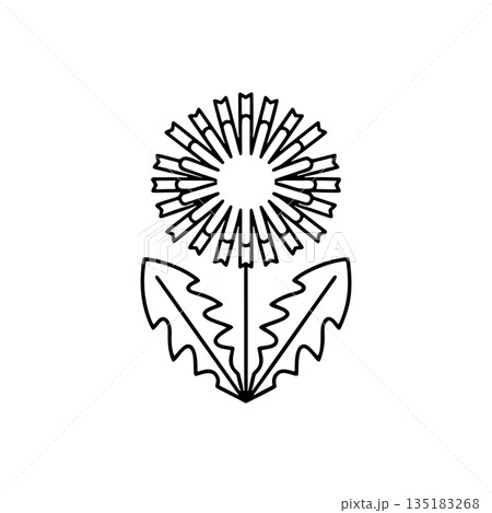 シンプルなタンポポの線画アイコン 135183268