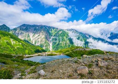 八方尾根から望む初夏の北アルプスの山 八方尾根から望む初夏の北アルプスの山 135183272