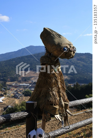 岐阜県恵那市坂折棚田の藁でできた宇宙人かかし 冬枯れ棚田と山村風景 12月初旬 135183357