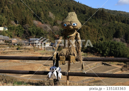 岐阜県恵那市坂折棚田の藁でできた宇宙人かかし 冬枯れ棚田と山村風景 12月初旬 135183363