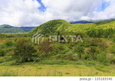 長野県乗鞍高原の緑豊かな草原と山々 9月 秋初め風景 135183540