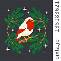 Charming Christmas vector illustration of a robin sitting on a pine wreath, surrounded by winter sparkles. 135183621