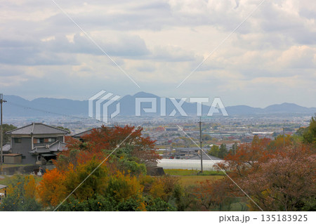 山の辺の道 紅葉した木々越しに二上山を中心とした金剛山地を望む 山の辺の道 紅葉した木々越しに二上山を中心とした金剛山地を望む 135183925