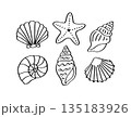 Hand Drawn Seashell and Starfish Doodle Icons Set. Marine Shell Sketch Collection, Ocean Beach Summer Symbols. Black Outline Illustration Isolated on White Background. Natural Graphic Elements Clipart 135183926