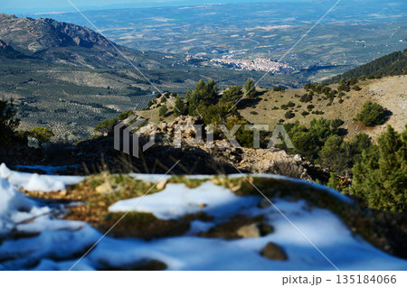 Panoramic Mountain Landscape With Snow, Olive Trees, and Distant Valley Town 135184066