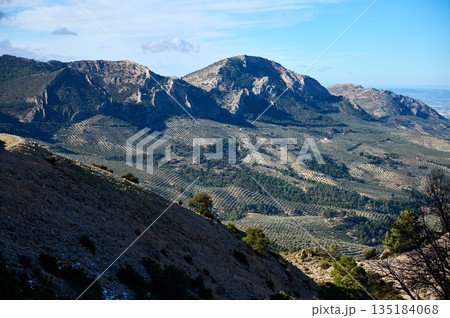 Breathtaking Mountain Landscape With Olive Groves And Rugged Slopes Under Blue Sky 135184068