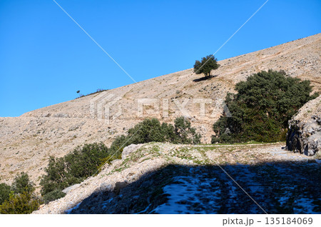 Solitary Tree On Rocky Hillside Trail Under Bright Blue Sky Above Quiet Landscape Sunny 135184069