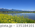 日本の原風景 信州安北アルプスと菜の花畑 135184101