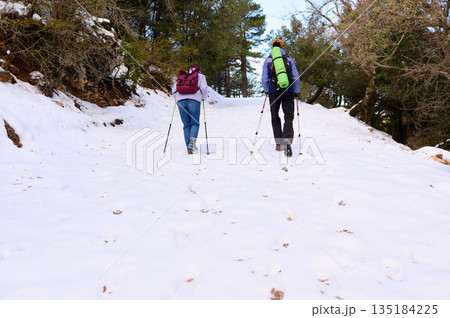 Hikers Trekking Through Snowy Forest Trail With Backpacks and Trekking Poles 135184225