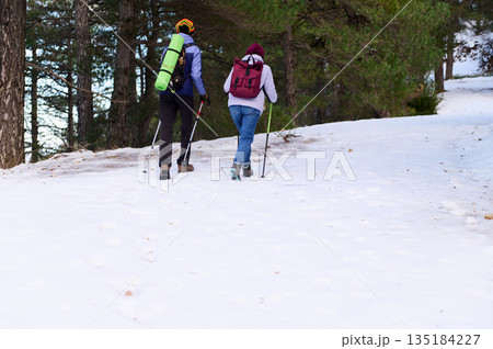 Two Hikers Trek Through Snowy Forest Trail With Backpacks And Trekking Poles 135184227