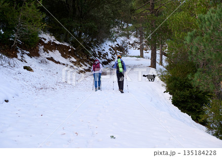 Hikers Trekking Snowy Forest Trail With Dog On Winter Adventure In Woods Hikers Trekking Snowy Forest Trail With Dog On Winter Adventure In Woods 135184228