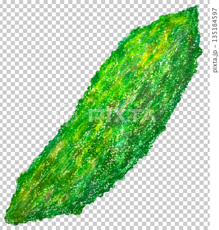 ゴーヤのイラスト オイルパステル画 135184597