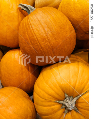 Group of yellow round pumpkins 135186230