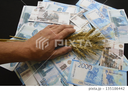 hand with ripe ears of wheat and Russian rubles of various denominations hand with ripe ears of wheat and Russian rubles of various denominations 135186442