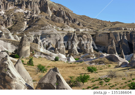 rock formations located near the town of Goreme in Cappadocia 135186604