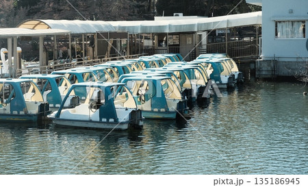 井の頭公園 135186945