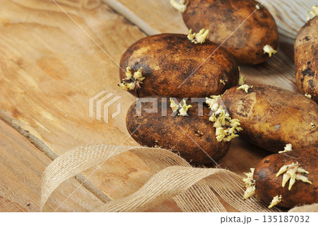 potato tubers with sprouted sprouts on a wooden potato tubers with sprouted sprouts on a wooden 135187032