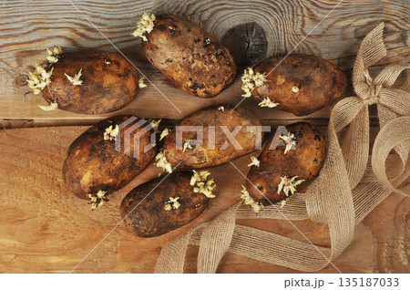 potato tubers with sprouted sprouts on a wooden background potato tubers with sprouted sprouts on a wooden background 135187033