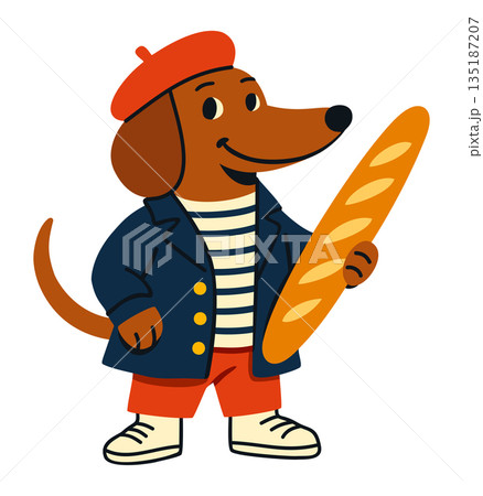 Dachshund wearing classic French style outfit with bright red beret, navy blue and white striped shirt, blue elegant coat with golden buttons, red trousers and white sneakers, holding baguette in paw. 135187207
