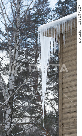 Ice stalactite hanging from the roof with wooden wall. Building covered with large sharp icicles Ice stalactite hanging from the roof with wooden wall. Building covered with large sharp icicles 135187227