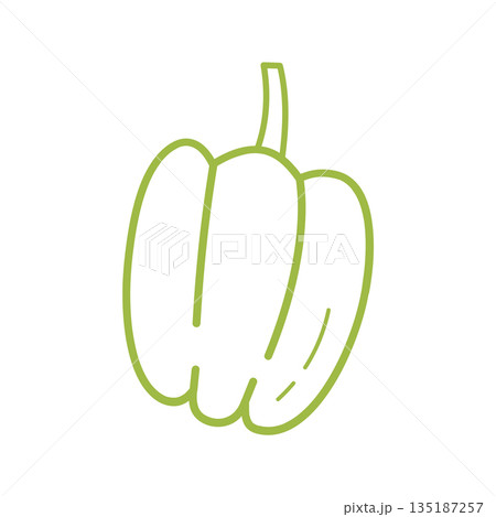 Cute Bell Pepper Hand Drawn Illustration in Minimal Doodle Style Cute Bell Pepper Hand Drawn Illustration in Minimal Doodle Style 135187257