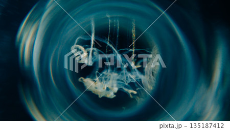 Paint drop defocused. Smoke whirl. Yellow blue color fume trickles floating in round frame on black gray background glowing abstract swirl. 135187412