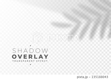 blurred leaves shadow overlay effect background 135188043