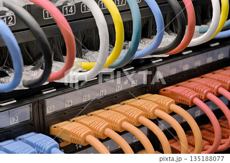 Data center, network panel, switch and connected multi-colored cables 135188077