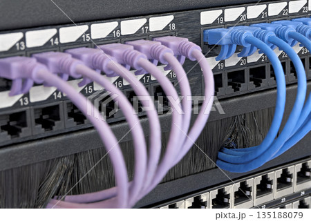 Data center, network panel, switch and connected multi-colored cables 135188079