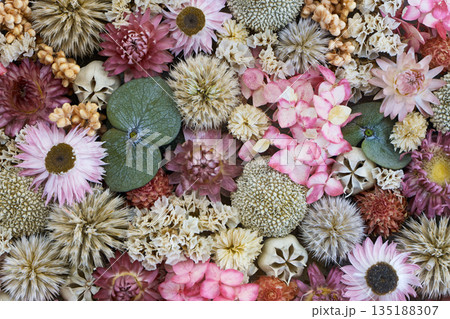 Decorative panel composed of dried wild plants, flowers and lichens 135188307