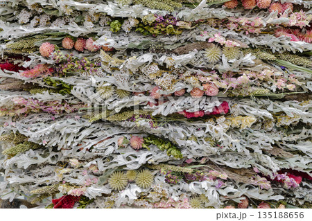 Decorative panel composed of dried wild plants, flowers and lichens 135188656