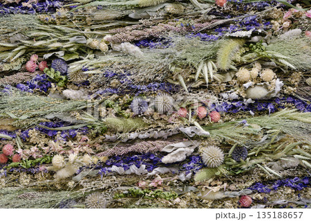 Decorative panel composed of dried wild plants, flowers and lichens 135188657