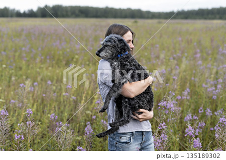 young smiling woman holding gray fluffy senior dog in hands on meadow with flowers of fireweed or great willowherb, pet love young smiling woman holding gray fluffy senior dog in hands on meadow with flowers of fireweed or great willowherb, pet love 135189302