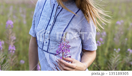 Young blond woman in purple shirt walking in meadow among flowers of fireweed and touching flower 135189305