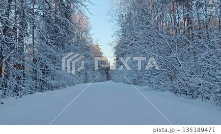 Snowy path arching into winter forest. Tranquil snow-covered trail framed by overhanging snow-laden tree branches leading into dense woods. Snowy path arching into winter forest. Tranquil snow-covered trail framed by overhanging snow-laden tree branches leading into dense woods. 135189471