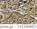 Abstract textured natural soft colorful copy space background. Millet, oak different grains, parrot food. 135189663
